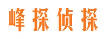 武强市侦探调查公司